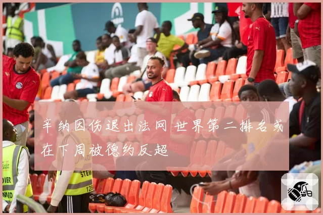 辛纳因伤退出法网 世界第二排名或在下周被德约反超